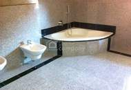 GERASDORF bei Wien: Modernes Einfamilienhaus