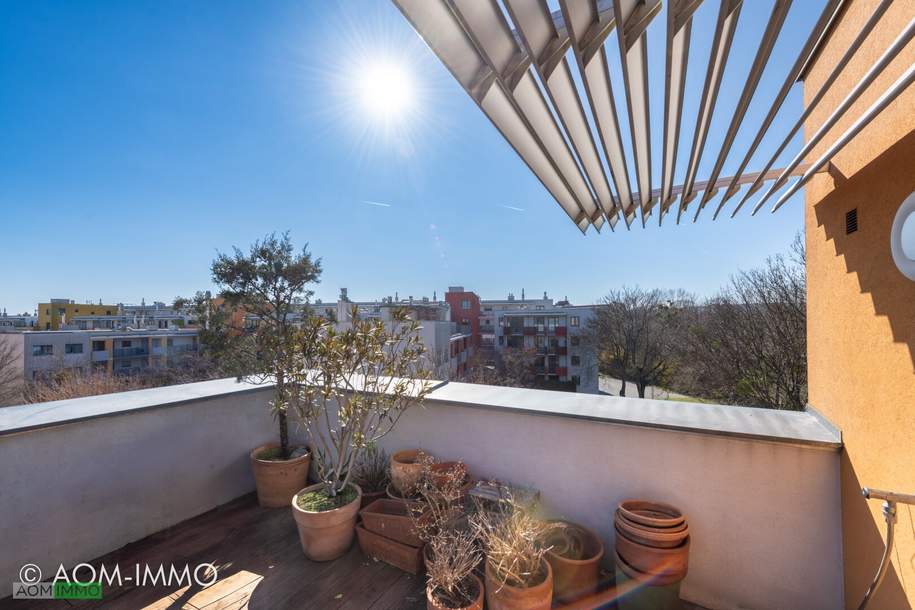 Sonnige Terrassenwohnung am Liesingbach, Wohnung-kauf, 619.000,€, 1230 Wien 23., Liesing