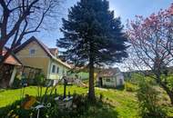 RARITÄT IN HOLLABRUNN: CHARMANTES, SANIERUNGSBEDÜRTIGES LANDHAUS MIT BAULANDRESERVE IN SEHR GUTER WOHNLAGE MIT HERRLICHEM GARTEN SAMT ALTBAUMBESTAND