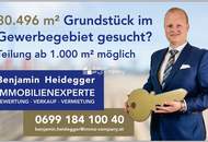 Werde jetzt Teil des Wirtschaftstandortes Mannersdorf/Leithagebirge - Betriebsgrundstücke bis zu 30.496m² stehen zur Verfügung!