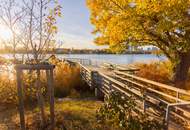 Alte Donau: Kleingartengrundstück mit Altbestand und Entwicklungspotenzial