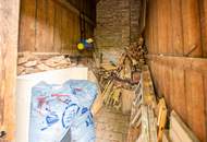 Stilvolles Mehrfamilienhaus mit großem Grundstück & Entwicklungspotenzial in Leobersdorf