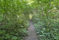 2-Zimmer-Wohnung in Jedlesee nahe Donau | Fertiggestellt