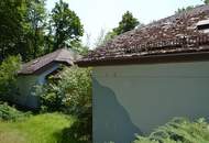 Ideal als Bildungszentrum, Seminar- und Tagungsraum mit kreativem Potential |🌳🏞️ Sanierungsobjekt nahe Stadtpark