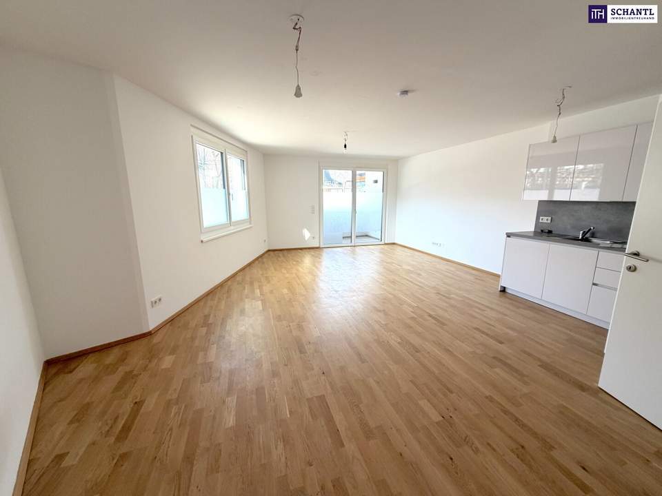 Clever wohnen im Grünen – Moderne Anleger- oder Singlewohnung im 22. Bezirk