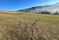 Landwirtschaftliche Fläche