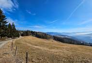 "Rarität im Zirbenland" Grundstück in St. Anna am Lavantegg