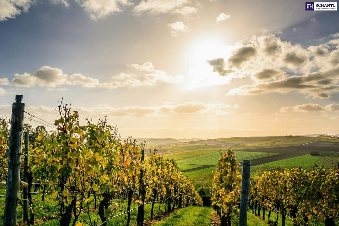 Exklusiv! Besondere Anwesen in der wunderschönen Südsteiermark – Ihr Rückzugsort mit Charme, Komfort und einen unvergleichbarem Flair!