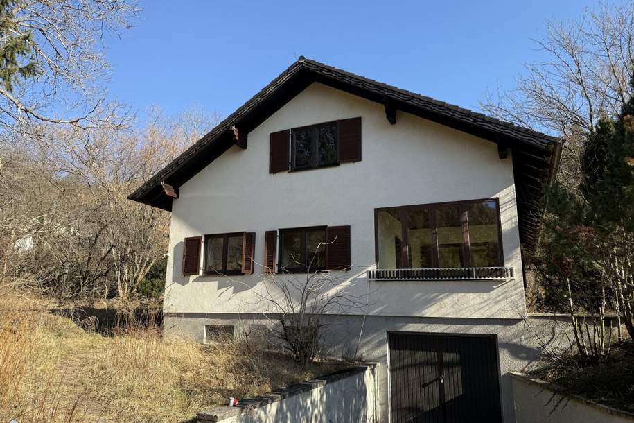 Haus & kleines Haus & Kellerstöckl, Haus-kauf, 379.000,€, 2650 Neunkirchen
