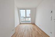 Dachgeschoss Maisonette I 3 ZI und Dachterrasse I nahe der Alten Donau