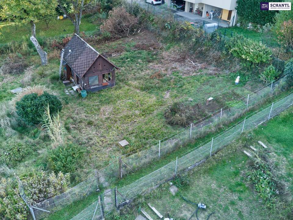 Morgens Waldluft, abends Stadtleben – Andritz/Platte