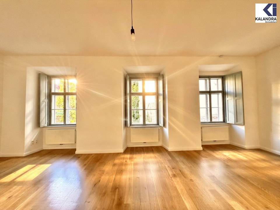 LUXUSWOHNUNG IN BAROCKMEIERHAUS