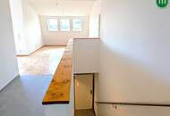 DG Traum – Erstbezug am Naherholungsgebiet Lobau