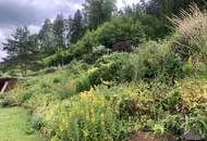Nur 50 Minuten von Wien: Ruhe, Natur und Lebensqualität am Waldrand!