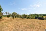 Kellerromantik neu gedacht – außergewöhnliches Ferienhaus am Ortsrand