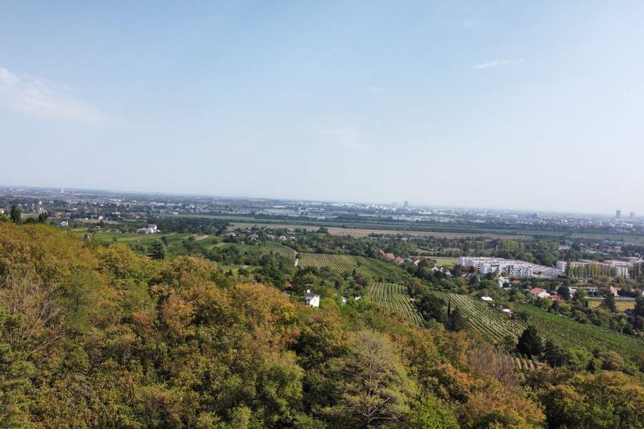 Sensation! Zurückziehen und Wohlfühlen am Eigengrund an der Wiener Stadtgrenze!, Grund und Boden-kauf, 499.999,€, 1210 Wien 21., Floridsdorf