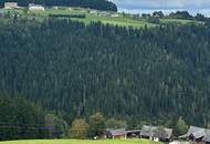 Idyllische Almhütte in ruhiger Lage in der Steiermark