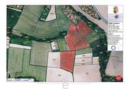 4,2 ha Ackerland in Straßham (nähe Alkoven) zu verkaufen!
