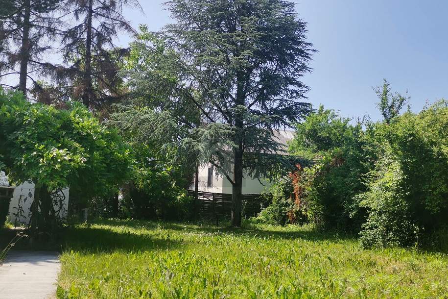 SOMMERGENUSS IM GARTEN - VERKEHRSBERUHIGTE LAGE, Grund und Boden-kauf, 220.000,€, 2601 Wiener Neustadt(Land)