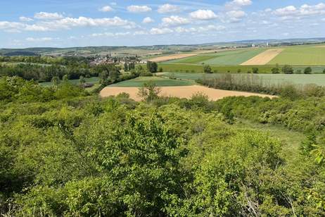 Großzügiges Grundstück in Rohrbach - Ideal für Freizeit Landwirtschaft! (Provisionsfrei), Gewerbeobjekt-kauf, 21.900,€, 3710 Hollabrunn