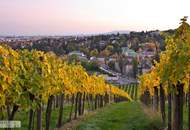 RARITÄT: Baugrundstück mit Baubewilligung in Bestlage Grinzing