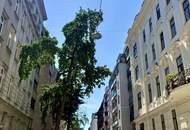 PARADIESISCH VIEL PLATZ FÜR FAMILIEN ODER STUDIERENDE - 5-ZIMMER-WOHNUNG MIT GROSSER LOGGIA