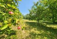 Traumhaftes, sonniges Grundstück (4.800m²) in absoluter Ruhelage in Stadtbergen!