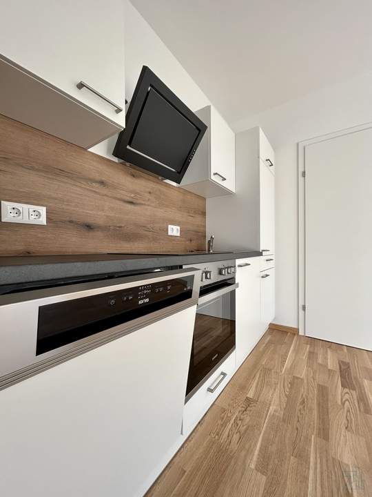 Modernes Wohnen in Graz Straßgang