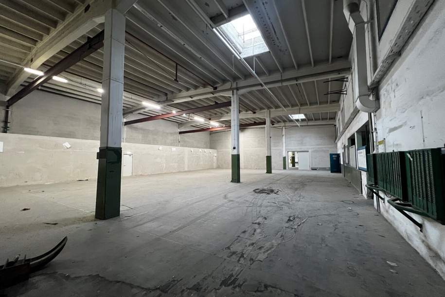 Gewerbepark Traiskirchen! ca. 4500 m² Halle mit 2 Rampen auf einer Ebene!, Gewerbeobjekt-miete, 26.775,00,€, 2514 Baden