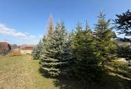 Sonniges Baugrundstück ohne Bauverpflichtung