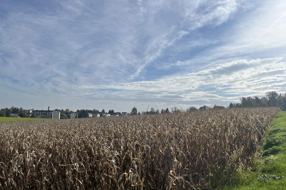 Landwirtschaftlicher Nutzgrund in Leonding Holzheim, Grund und Boden-kauf, 4060 Linz-Land