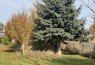 "Energieeffiziente Villa in schöner Lage"