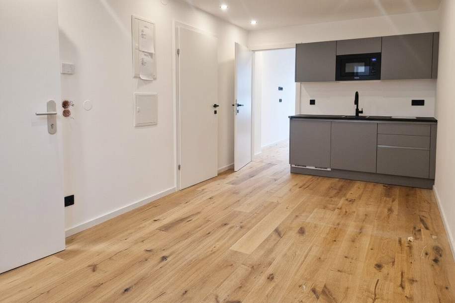 Modernes Single Apartment mit Terrasse - Erstbezug, Wohnung-miete, 925,00,€, 1100 Wien 10., Favoriten
