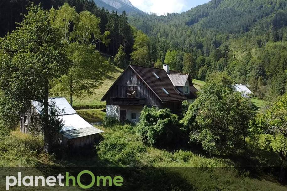 Rarität: Waldbauernhaus im Naturpark Ötscher-Tormäuer, Haus-kauf, 275.000,€, 3292 Scheibbs