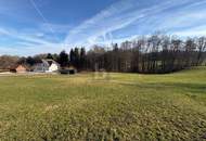 WOHNEN AUF HÖCHSTEM NIVEAU - SÜDHANG IN RUHELAGE MIT ZENTRUMSNÄHE