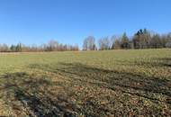Charmantes Holzblockhaus (Wunsch-Haus) in wunderschöner Natur- und Aussichtslage in Bubing