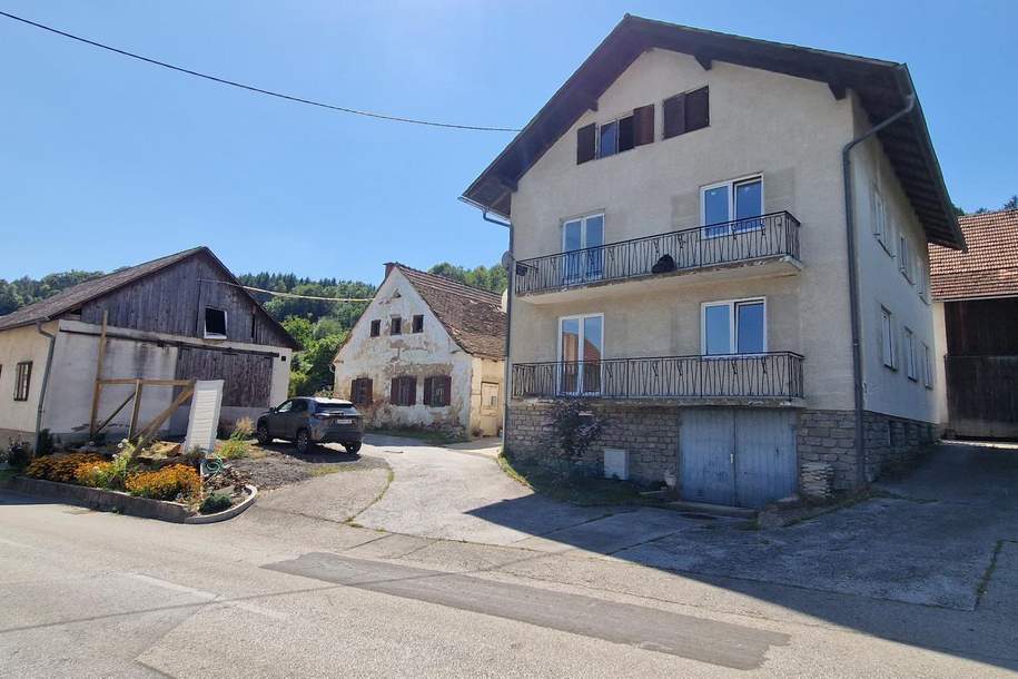 Viel Platz, viele Möglichkeiten – Wohnhaus mit Nebengebäuden in Penzendorf bei Hartberg Steiermark, Haus-kauf, 170.000,€, 8230 Hartberg-Fürstenfeld
