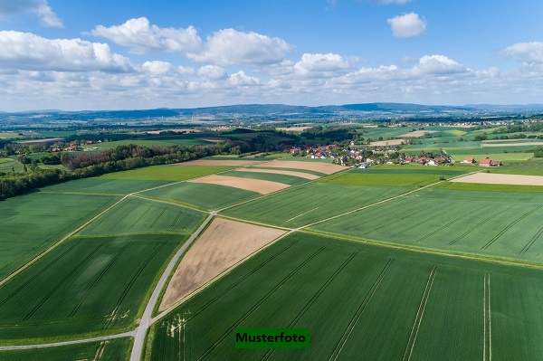 Weinbauflächen in bester Lage der Katastralgemeinde Illmitz
