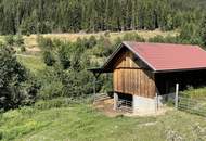 Einzigartige Landwirtschaft inkl. Hofstelle und eigener Quelle, umgeben von 52 ha arrondierter Wald- und Wiesenfläche