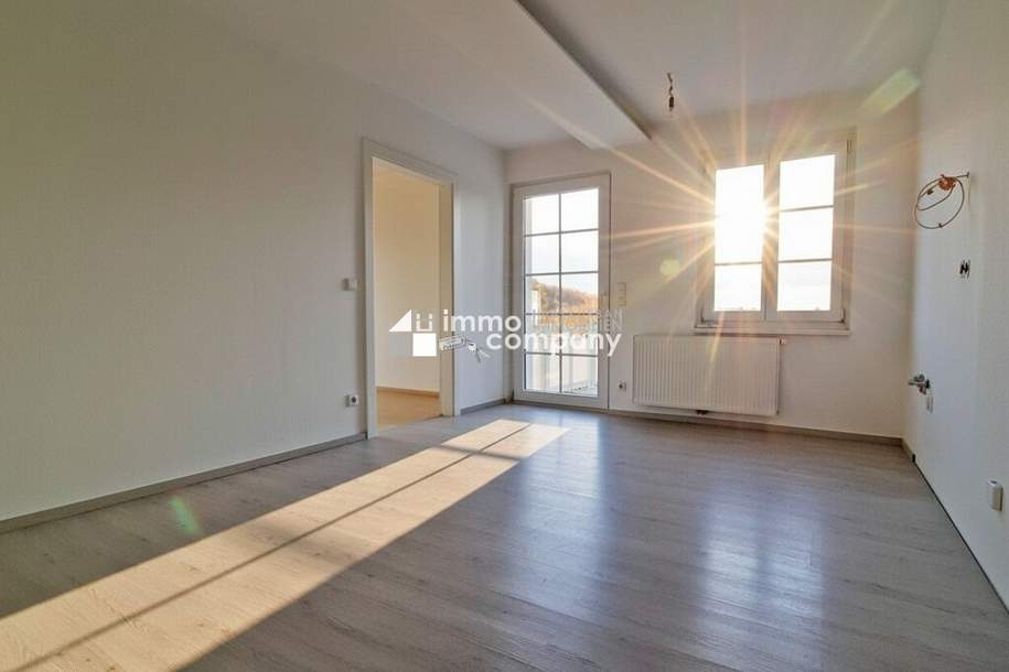 Provisionsfrei für den Mieter! ---- Spitzen Single-Wohnung mit super Sonnen-Terrasse, Wohnung-miete, 682,00,€, 7203 Mattersburg