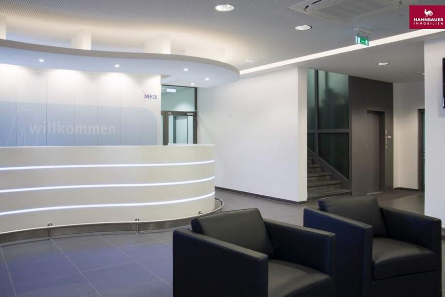 Moderne Büroflächen in 1140 Wien West Auhof, Grenze zu Niederösterreich, Gewerbeobjekt-miete, 12.325,00,€, 3002 Sankt Pölten(Land)