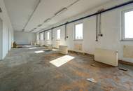 GIGANTISCH gesucht? HIER RICHTIG