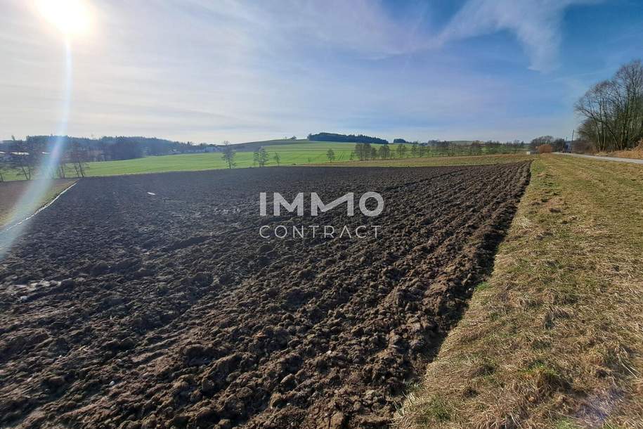 Schöne landwirtschaftliche Flächen in Neukirchen bei Lambach im Ausmaß von ca. 16.400 m², Grund und Boden-kauf, 254.000,€, 4671 Wels-Land