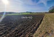 Schöne landwirtschaftliche Flächen in Neukirchen bei Lambach im Ausmaß von ca. 16.400 m²