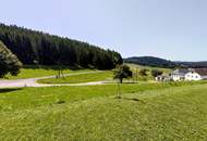 Traumhaftes Baugrundstück: 982m² für Ihr Eigenheim / Gewerbe in Gutauer Naturlage ohne Bauzwang