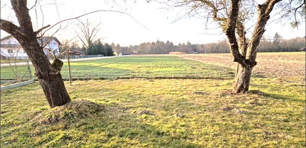 Sonnig, ruhig, eben, Grundstück zu verkaufen. (Provisionsfrei)