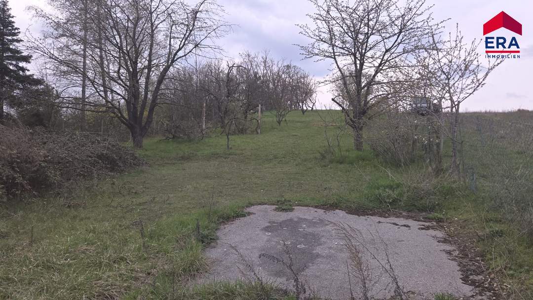 Grundstück zur Miete in Mistelbach - Gartenparadies mit Altbaumbestand