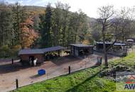 Mehrfamilien- oder Generationenhaus für Pferdeliebhaber!