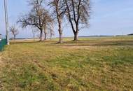 BAUGRUNDSTÜCK IM RUHIGEN ORTSTEIL MOOS