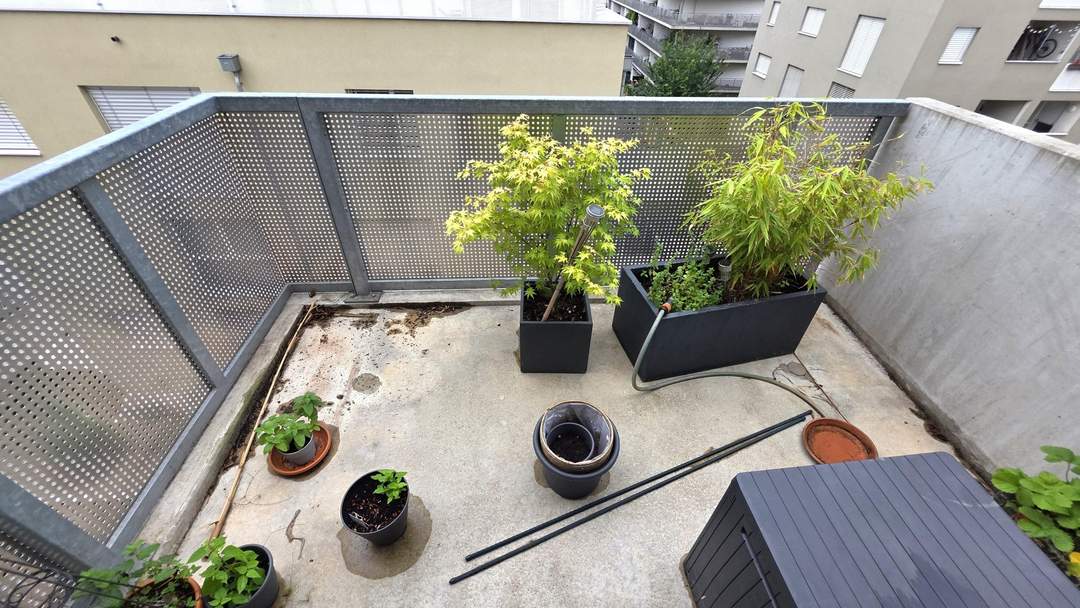 Neubauwohnung mit WEST-Balkon + Deckenkühlung + 1.OG